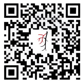 Logotipo 3D del consultorio